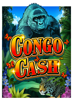 ตะลุยทาง เข้า เล่น pg slot game แบบมือโปร